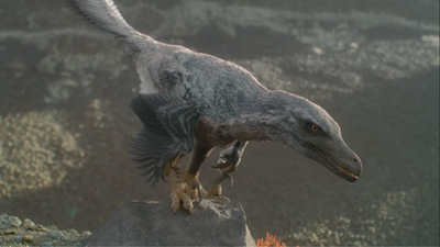 Velociraptor observing juvenile azhdarchids from atop a rock