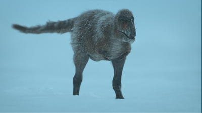 Nanuqsaurus stares down its prey