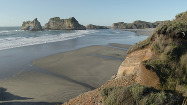 The coast of the Javelina Formation