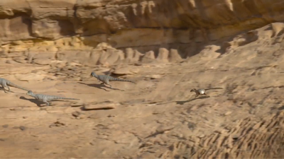 A Velociraptor chases a group of Prenocephale escaping up a cliff, aiming to single the most vulnerable target out
