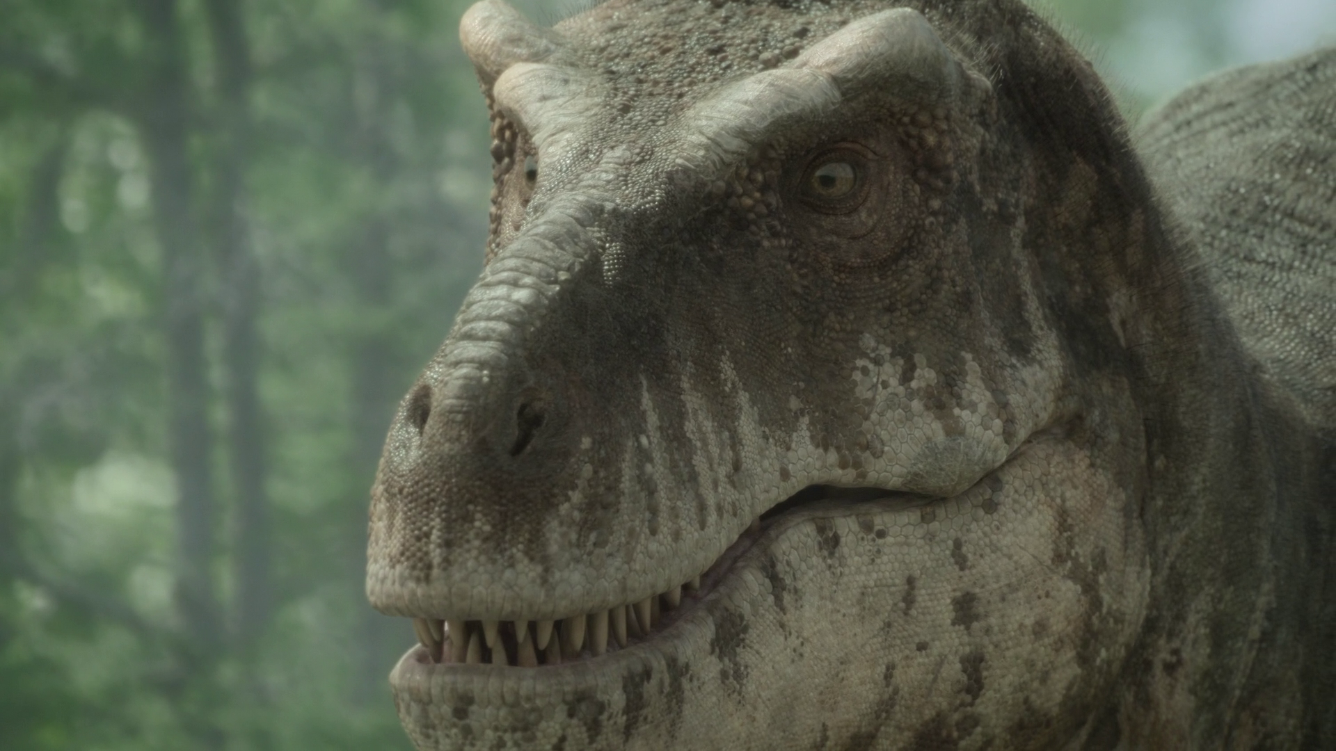 Sensitive T. rex? This new dino might change the face of