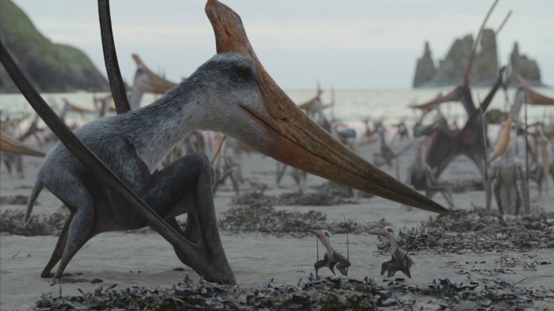 Pterosaur size - Wikipedia