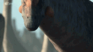 Errors/Speculations