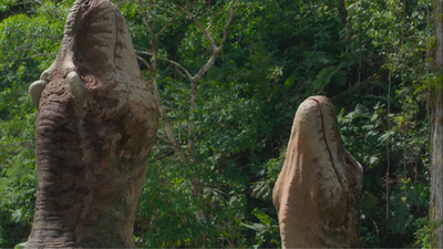 A female T. rex (right) reciprocates the rumbling mating calls of an old, experienced male