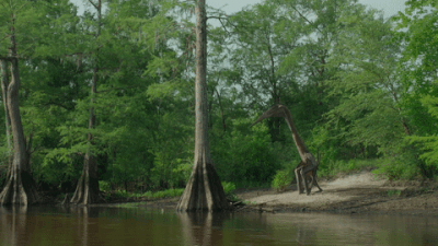 A Quetzalcoatlus quadrupedally launching herself into the air