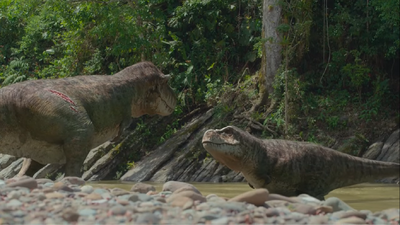 A female (right) approves and reciprocates the intentions of the male to mate