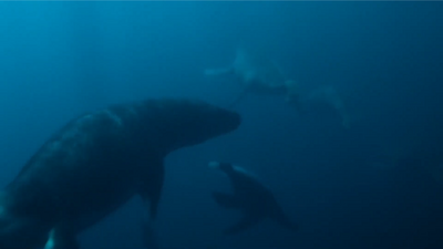A juvenile Tuarangisaurus leads a Kaikaifilu right to its pod, ready to confront and drive off the mosasaur