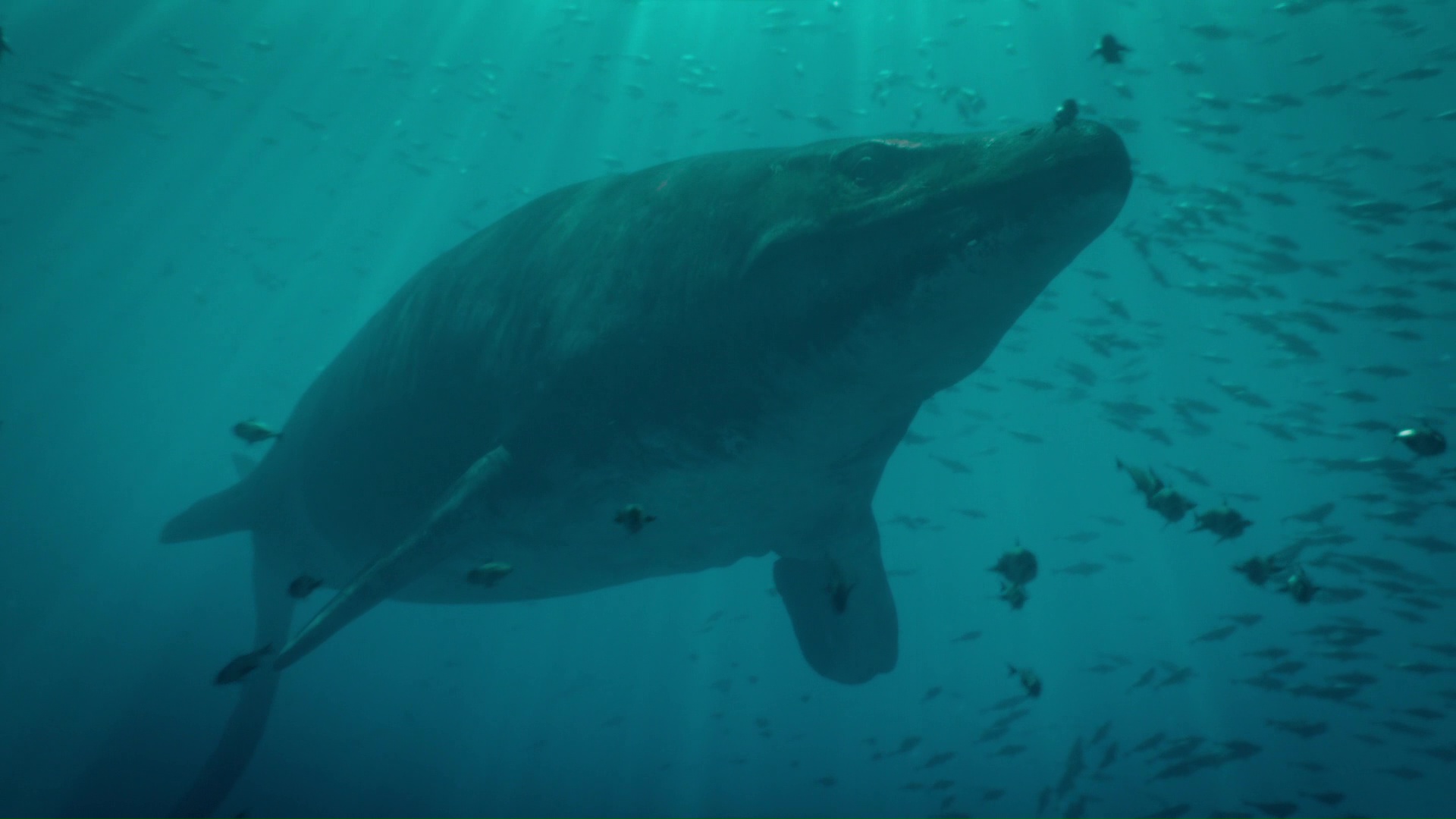 Mosasaur discovered with half its face bitten off by another mosasaur