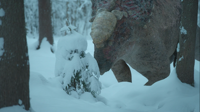 A female Pachyrhinosaurus trying to strip the last leaves from a snow-covered plant
