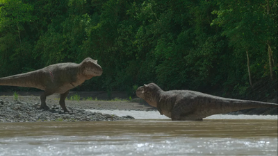 An old male T. rex (left) meets a smaller and younger female (right)