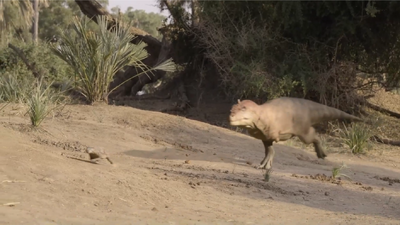 Majungasaurus was not a fast hunter, so it more likely relied on ambushing and cornering its prey