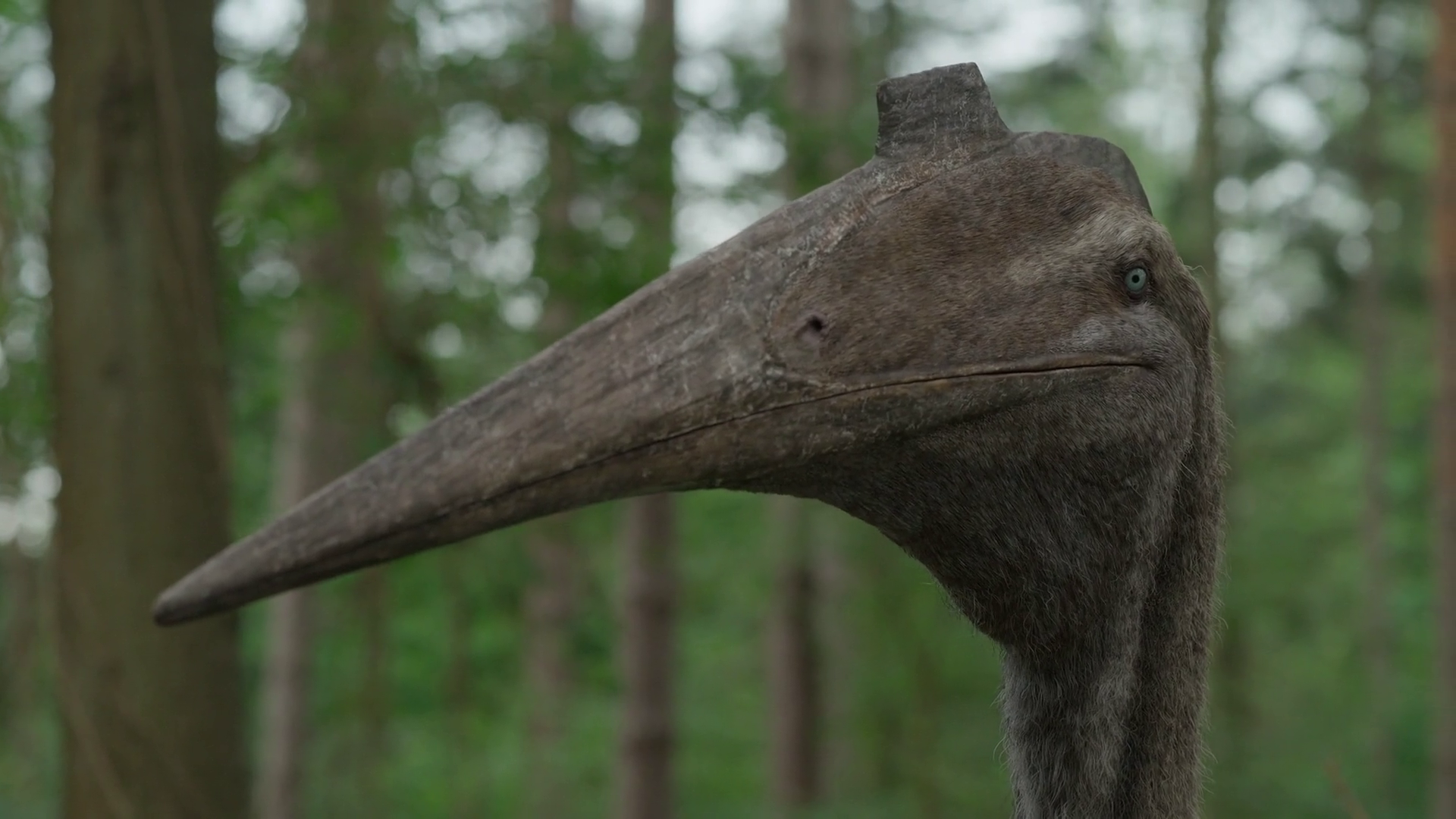 The evolution of depictions of Quetzalcoatlus, showing that the genus (and  azhdarchids in general) were pterosaurs that hunted on foot rather than  being aerial predators like most (though not all) predatory birds.