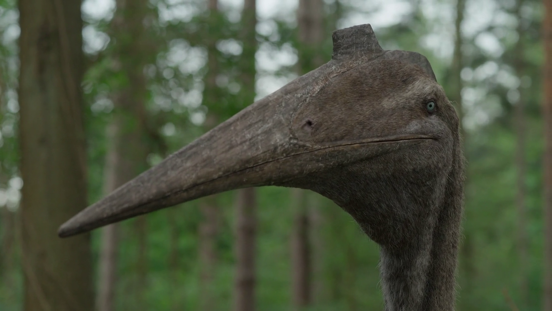 Cartoon Pterodactyl Giant Pterosaur of the prehistoric skies!