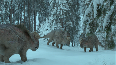 A veteran Pachyrhinosaurus intimidates two younger males