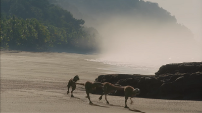 Of the 15 chicks of a T. rex father, only four are left, with one recently eaten by a mosasaur