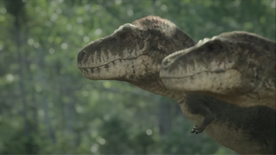 A pair of subadult T. rex brothers observing herds of herbivores visiting the swamplands of the Hell Creek Formation
