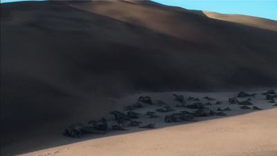 The Secernosaurus herd takes a break behind the shade of a tall desert dune