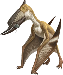 Artwork of Dsungaripterus weii by the American Natural History Museum, used in "Flamboyant Flyers"