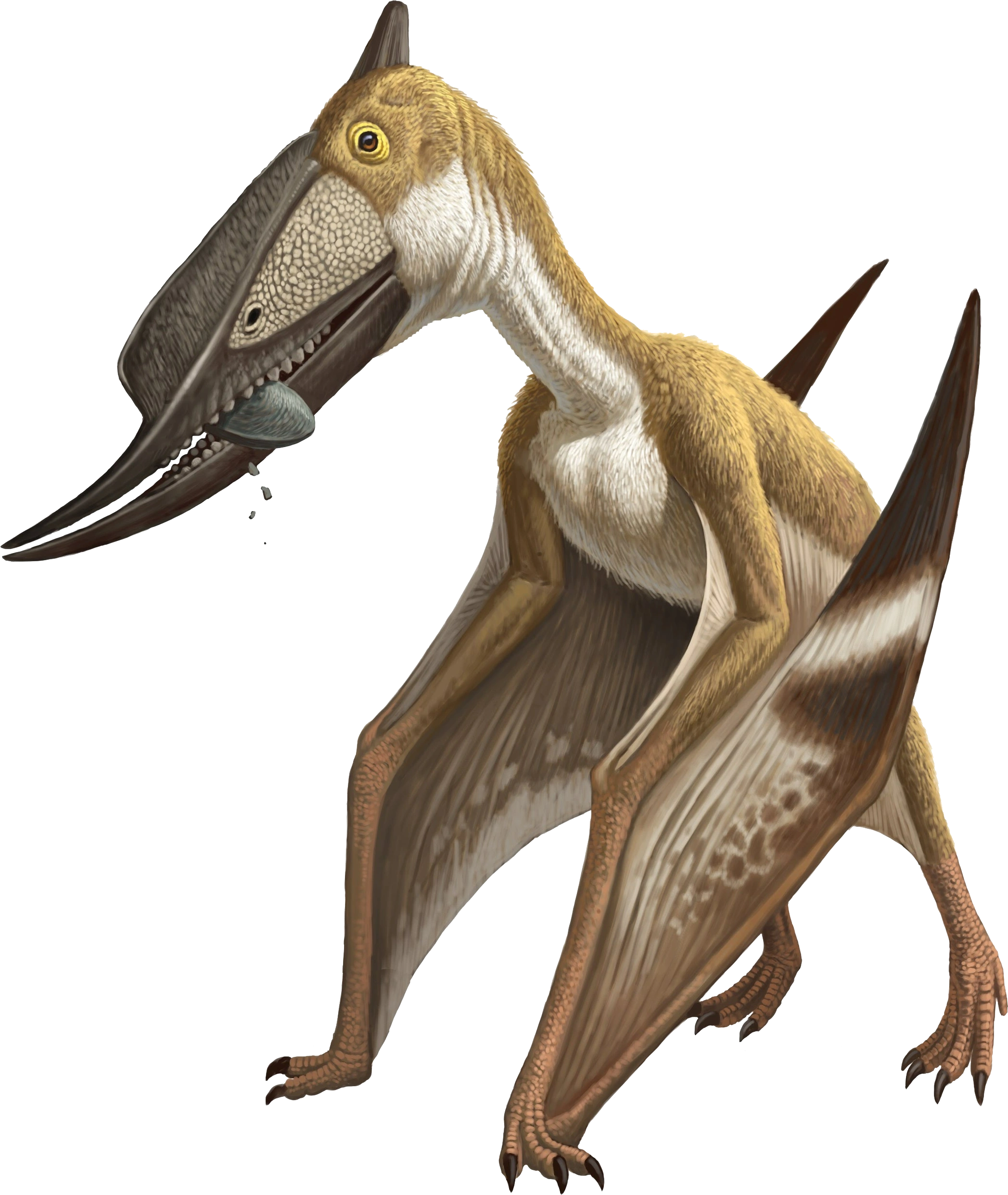 Idea for a JWE 2 DLC dinosaur pack, the Abelisaurid pack. The pack could  include Abelisaurus itself, Pycnonemosaurus the largest known member of the  Abelisaurs even larger than Carnotaurus though Ekrixinatosaurus may, image size:2095x2483