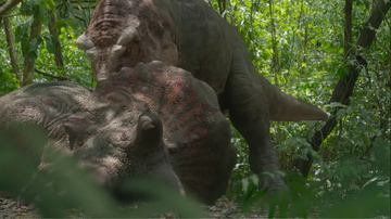 A T. rex eating a Triceratops starting from the neck