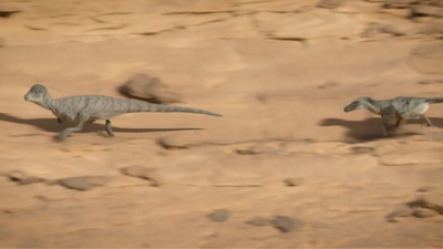 A Prenocephale gets chased by a Velociraptor up a cliff, right into an ambush