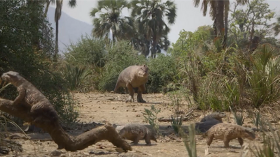 A female Majungasaurus stands in the distance, preparing to ambush and grab a Simosuchus