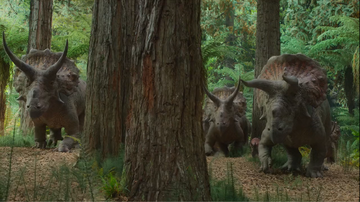Triceratops herds only consist of around less than a dozen members