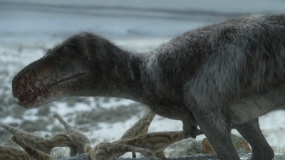 A Nanuqsaurus and her seven offspring, feeding on a freshly-slain Ornithomimus after the end of winter for energy and heat