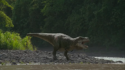 A T. rex responding to a potential rival on the other side of a shallow river