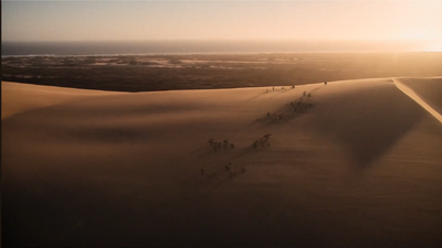 At last, the Secernosaurus herd reached their destination, a shrub-covered paradise where the desert ends and the sea begins