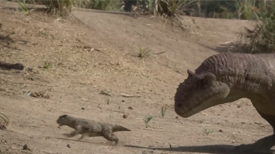 A male Simosuchus charges backwards, keeping the Majungasaurus at bay until he can find a way to escape