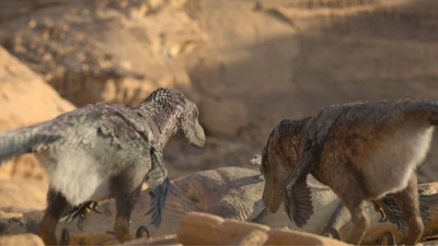 Velociraptor family feeding on a freshly-slain Prenocephale
