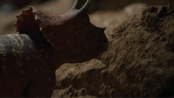 The juvenile has second thoughts regarding the consumption of clay