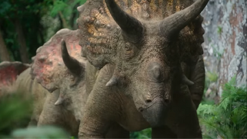 The Triceratops herd enters a cave