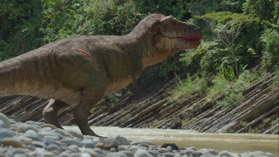 Tyranosaurus rex by the bank of a river