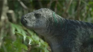 Hațeg Island | Prehistoric Planet Wiki | Fandom