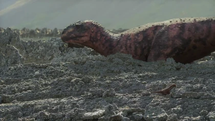 紀元前1000年頃 バクトリア ラピスラズリ ビーズ Bactrian 紀元前1000