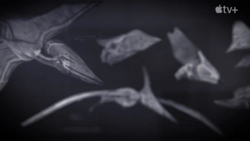 A set of pterosaurs briefly shown in "Flamboyant Flyers"