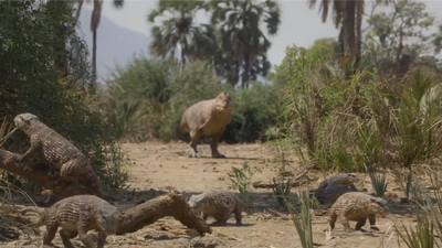 Majungasaurus observing a group of Simosuchus from afar