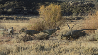 Pachycephalosaurus herd searches for sustenance in a dry basin within the Scollard Formation