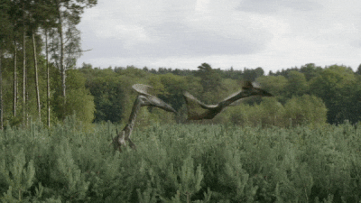 The Hatzegopteryxes leave Trieste, Italy to hunt elsewhere