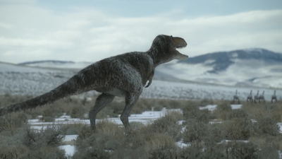 A flock of Ornithomimus get away from Nanuqsaurus