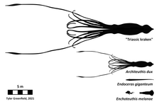 Suction cup - Wikipedia