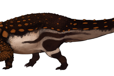 Amazon.com: Enciclopedia Guadal de dinosaurios / Guadal