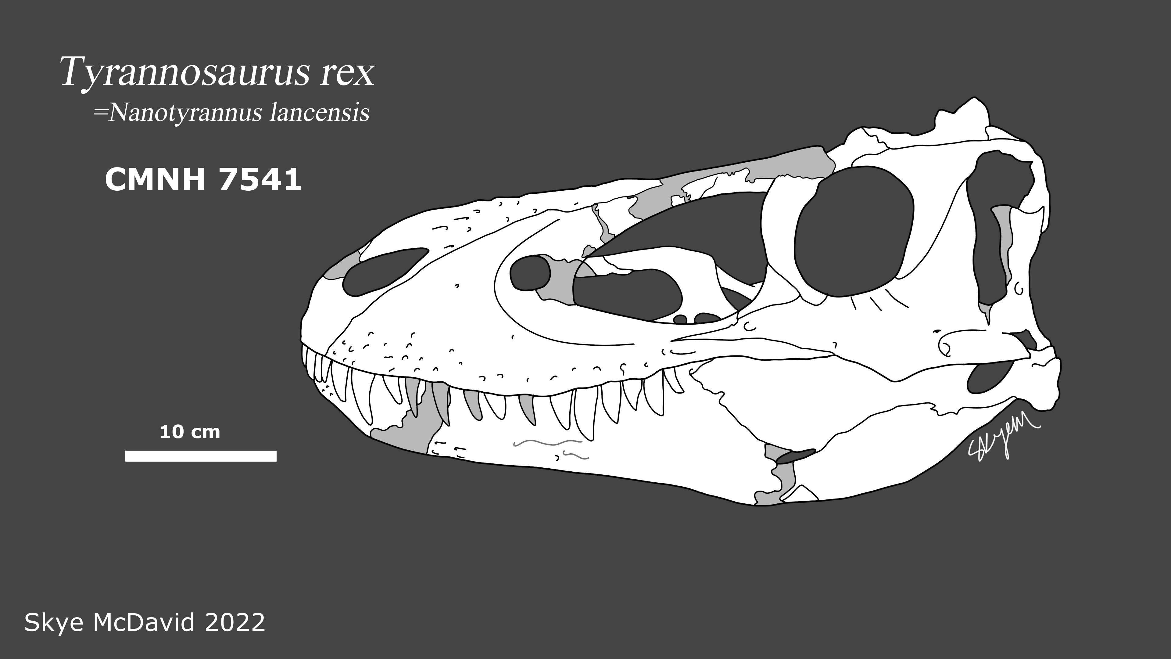 T-Rex – AF Systems