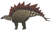 Stegosaurus stenops