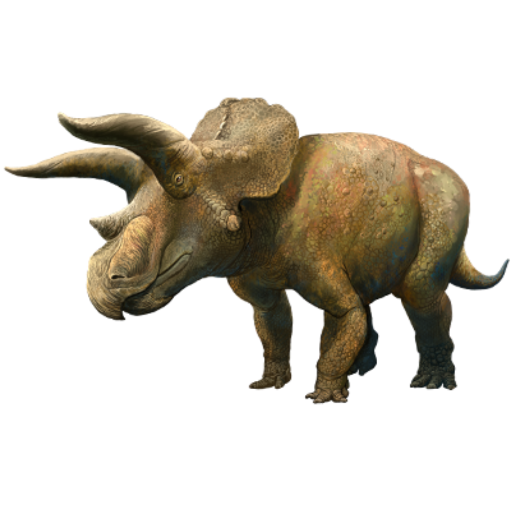 Triceratops | Prehistoric Wiki | Fandom