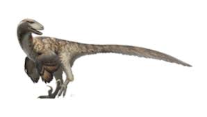 Deinonychus, Prehistoric Life Wiki