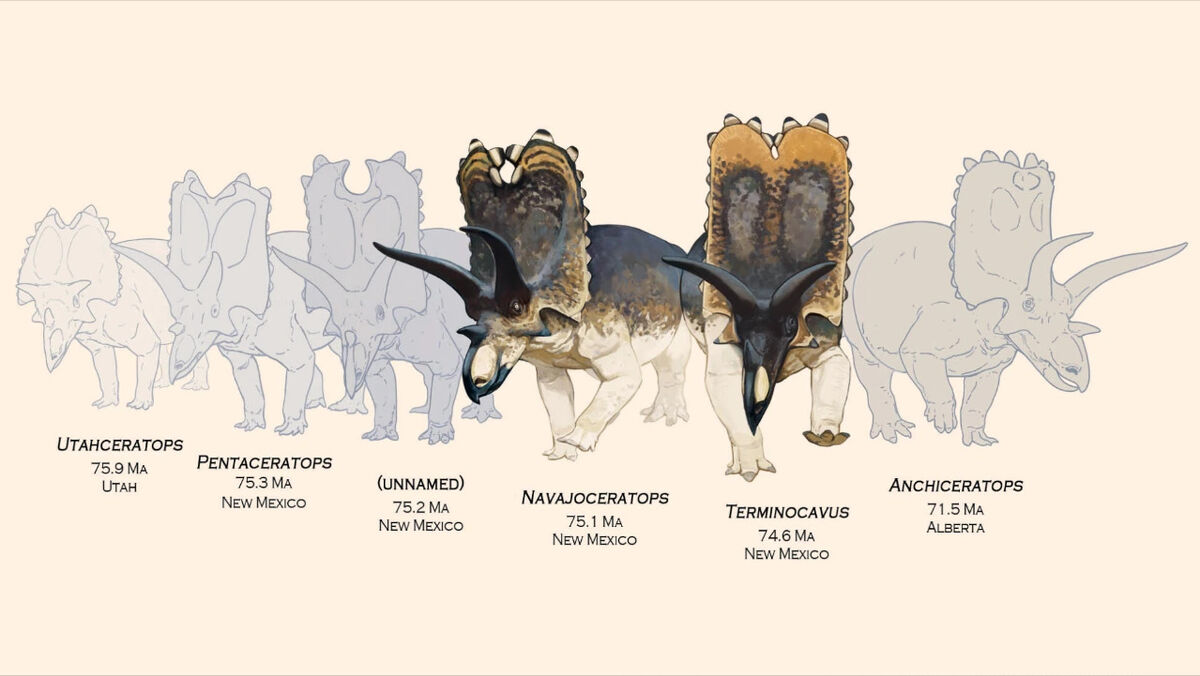 NMMNH P-33906 | Prehistoric Wiki | Fandom