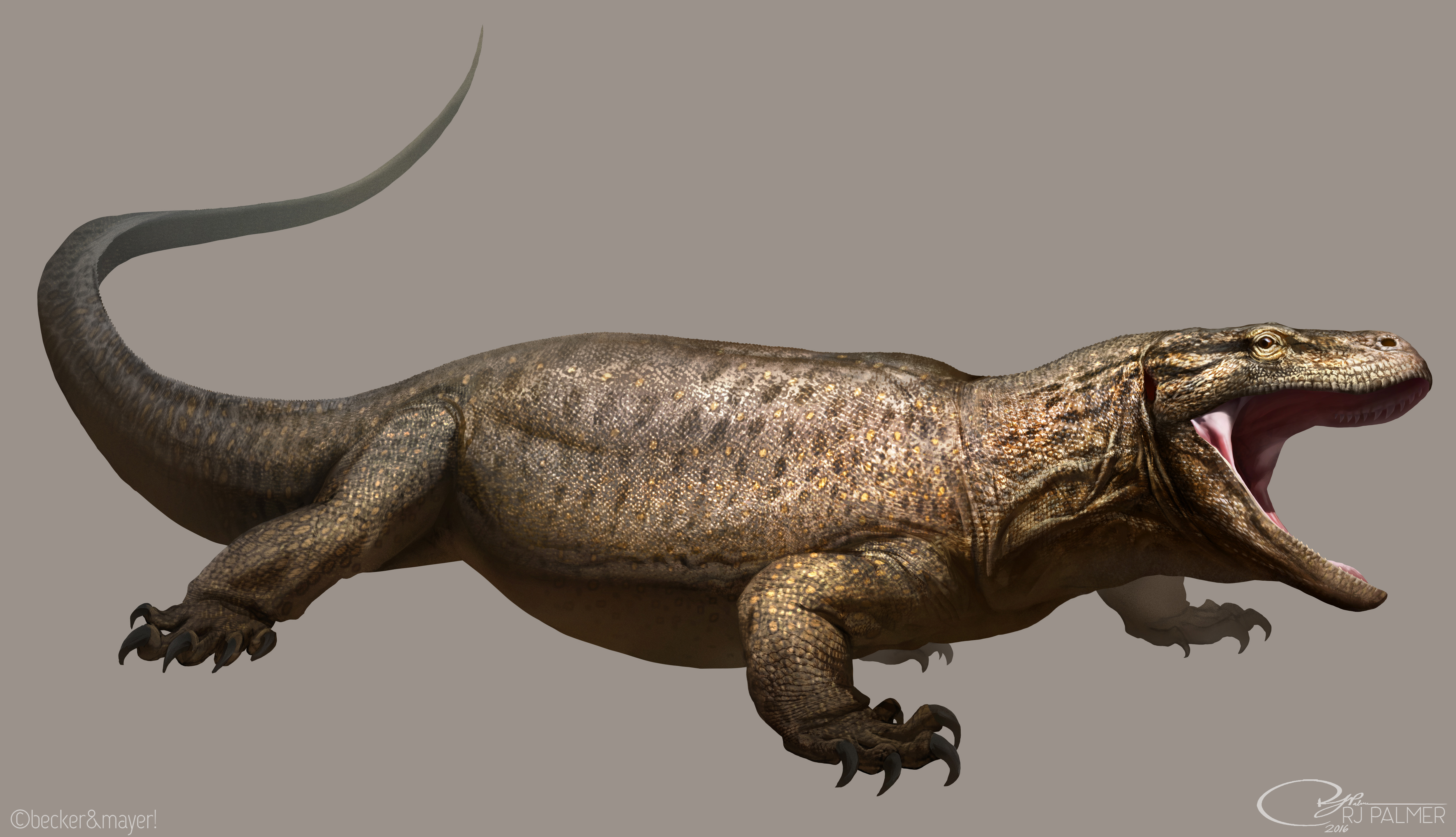 prehistoric komodo dragon